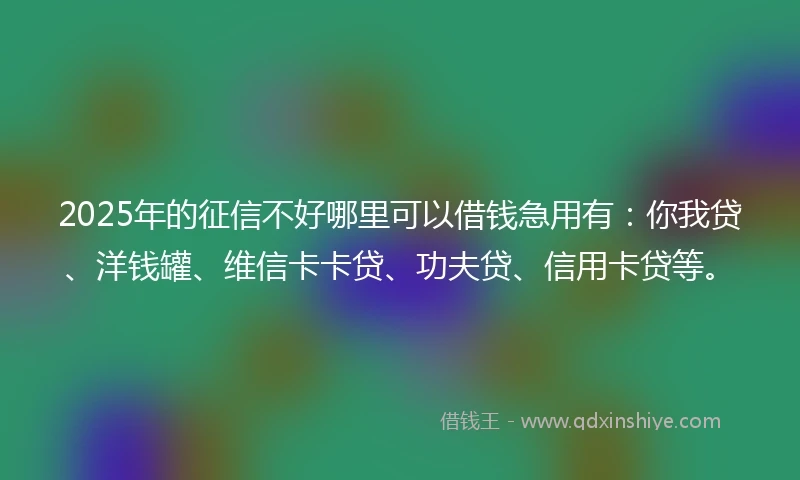 2025年的征信不好哪里可以借钱急用有：你我贷、洋钱罐、维信卡卡贷、功夫贷、信用卡贷等。