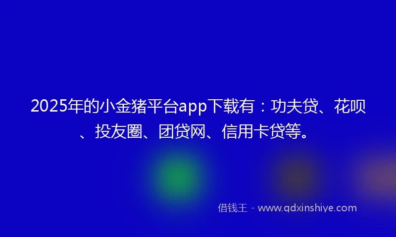 2025年的小金猪平台app下载有：功夫贷、花呗、投友圈、团贷网、信用卡贷等。