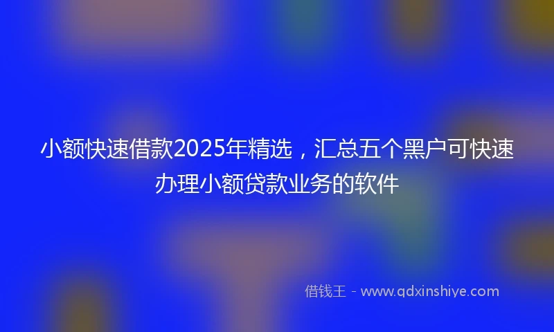 小额快速借款2025年精选，汇总五个黑户可快速办理小额贷款业务的软件