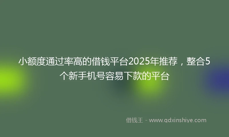 小额度通过率高的借钱平台2025年推荐，整合5个新手机号容易下款的平台