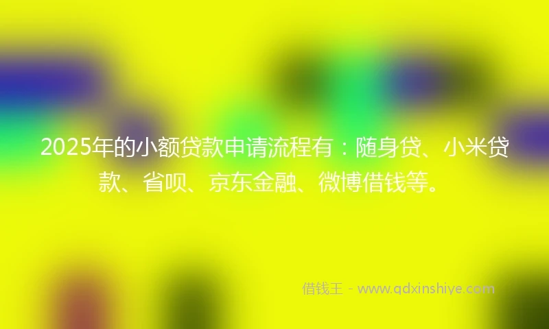 2025年的小额贷款申请流程有：随身贷、小米贷款、省呗、京东金融、微博借钱等。