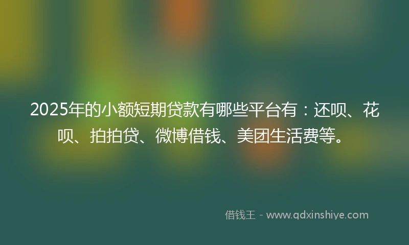 2025年的小额短期贷款有哪些平台有：还呗、花呗、拍拍贷、微博借钱、美团生活费等。