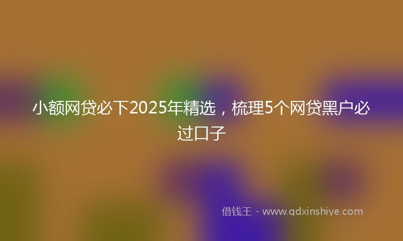 小额网贷必下2025年精选，梳理5个网贷黑户必过口子