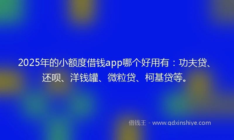 2025年的小额度借钱app哪个好用有：功夫贷、还呗、洋钱罐、微粒贷、柯基贷等。