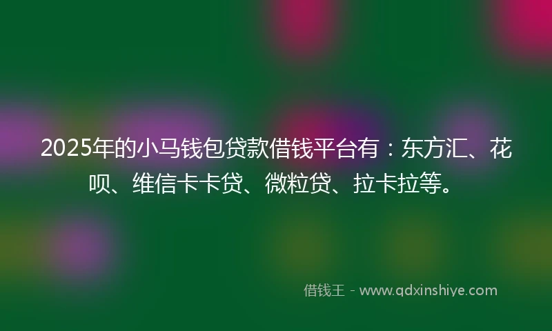 2025年的小马钱包贷款借钱平台有：东方汇、花呗、维信卡卡贷、微粒贷、拉卡拉等。