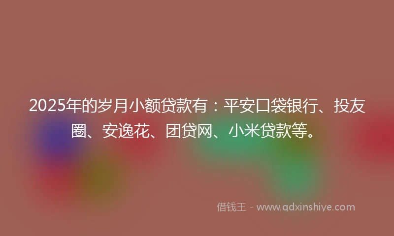 2025年的岁月小额贷款有:平安口袋银行、投友圈、安逸花、团贷网、小米贷款等。