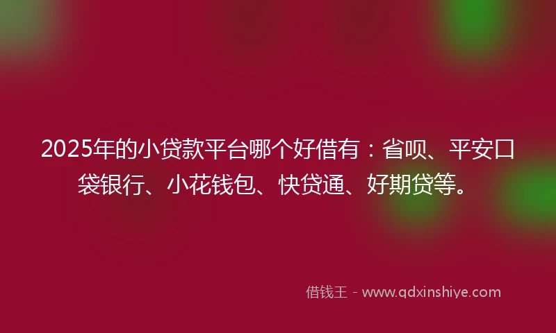 2025年的小贷款平台哪个好借有：省呗、平安口袋银行、小花钱包、快贷通、好期贷等。