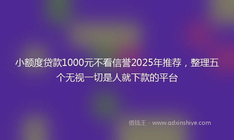 小额度贷款1000元不看信誉2025年推荐，整理五个无视一切是人就下款的平台
