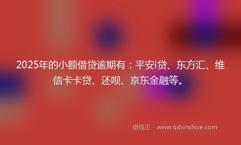 2025年的小额借贷逾期有：平安i贷、东方汇、维信卡卡贷、还呗、京东金融等。
