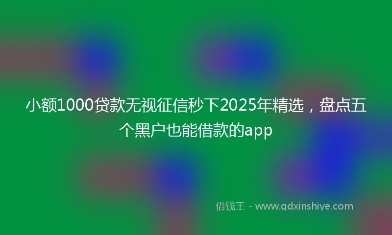 小额1000贷款无视征信秒下2025年精选，盘点五个黑户也能借款的app