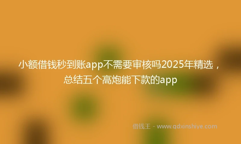 小额借钱秒到账app不需要审核吗2025年精选，总结五个高炮能下款的app