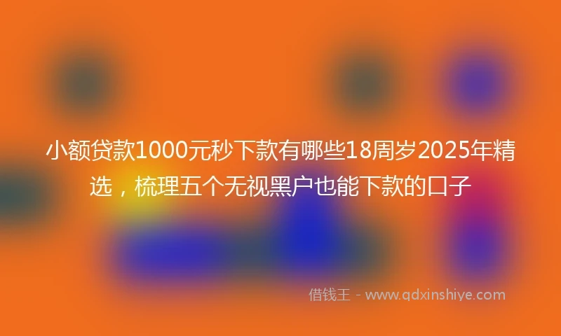 小额贷款1000元秒下款有哪些18周岁2025年精选，梳理五个无视黑户也能下款的口子