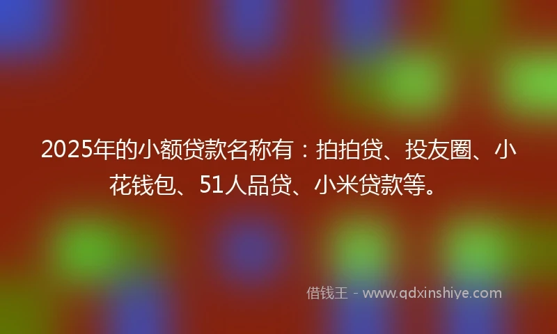 2025年的小额贷款名称有：拍拍贷、投友圈、小花钱包、51人品贷、小米贷款等。