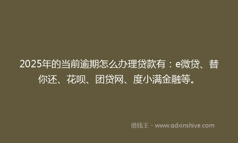 2025年的当前逾期怎么办理贷款有：e微贷、替你还、花呗、团贷网、度小满金融等。