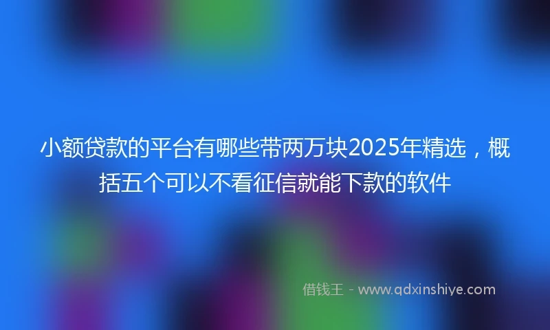 小额贷款的平台有哪些带两万块2025年精选,概括五个可以不看征信就能下款的软件