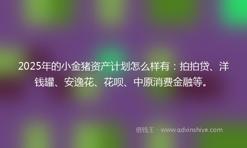 2025年的小金猪资产计划怎么样有：拍拍贷、洋钱罐、安逸花、花呗、中原消费金融等。