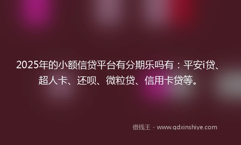 2025年的小额信贷平台有分期乐吗有：平安i贷、超人卡、还呗、微粒贷、信用卡贷等。