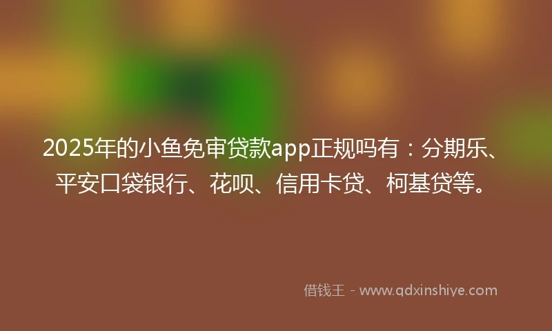 2025年的小鱼免审贷款app正规吗有：分期乐、平安口袋银行、花呗、信用卡贷、柯基贷等。