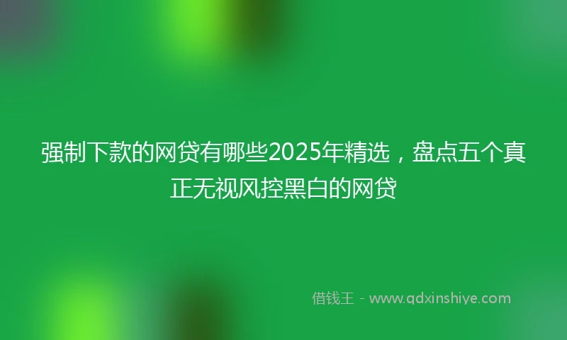 强制下款的网贷有哪些2025年精选，盘点五个真正无视风控黑白的网贷