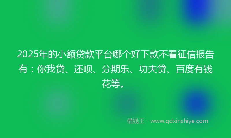 2025年的小额贷款平台哪个好下款不看征信报告有：你我贷、还呗、分期乐、功夫贷、百度有钱花等。