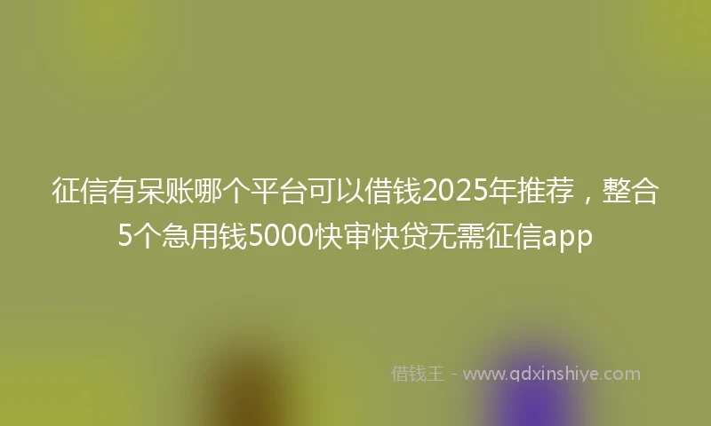 征信有呆账哪个平台可以借钱2025年推荐，整合5个急用钱5000快审快贷无需征信app