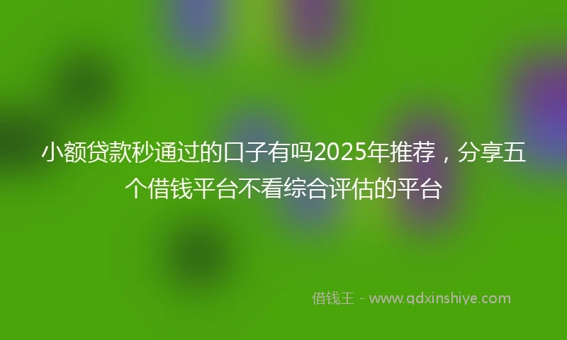 小额贷款秒通过的口子有吗2025年推荐，分享五个借钱平台不看综合评估的平台