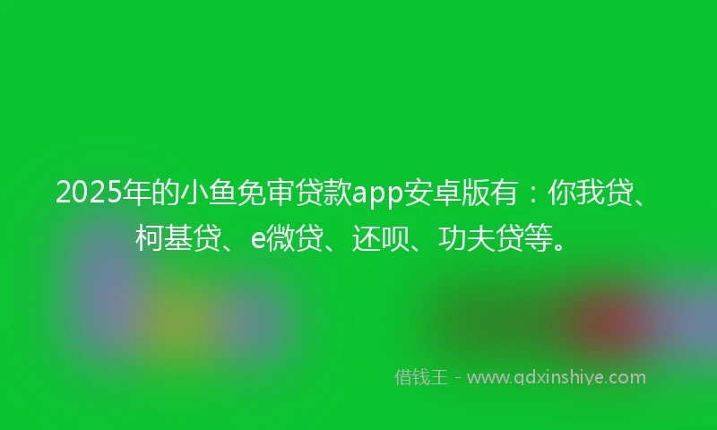 2025年的小鱼免审贷款app安卓版有：你我贷、柯基贷、e微贷、还呗、功夫贷等。