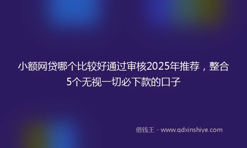 小额网贷哪个比较好通过审核2025年推荐，整合5个无视一切必下款的口子