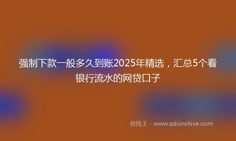 强制下款一般多久到账2025年精选，汇总5个看银行流水的网贷口子