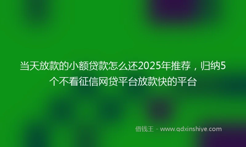 当天放款的小额贷款怎么还2025年推荐,归纳5个不看征信网贷平台放款快的平台