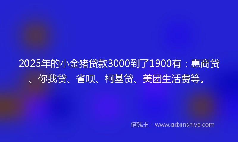 2025年的小金猪贷款3000到了1900有：惠商贷、你我贷、省呗、柯基贷、美团生活费等。