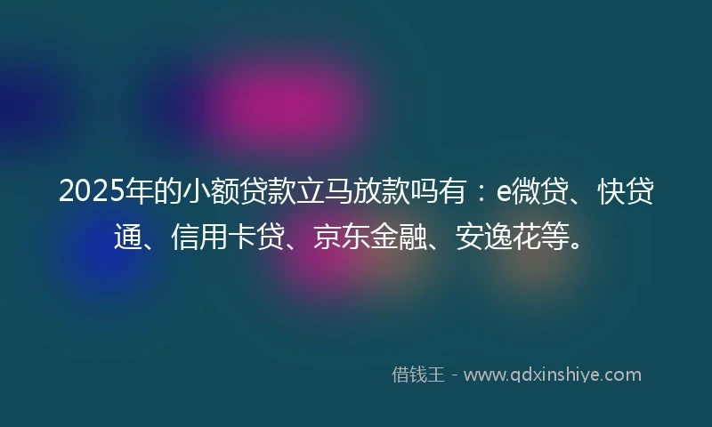 2025年的小额贷款立马放款吗有：e微贷、快贷通、信用卡贷、京东金融、安逸花等。