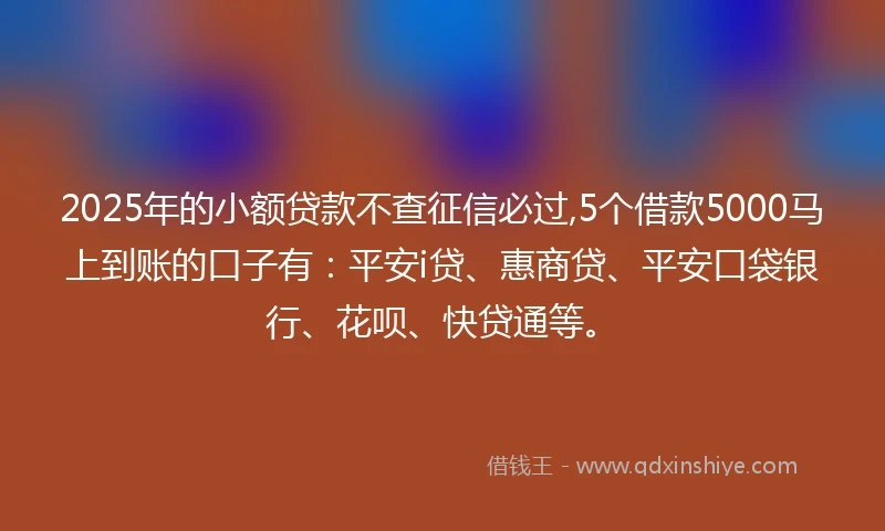 2025年的小额贷款不查征信必过,5个借款5000马上到账的口子有：平安i贷、惠商贷、平安口袋银行、花呗、快贷通等。