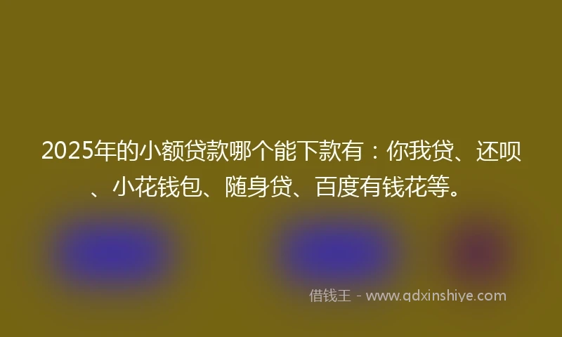 2025年的小额贷款哪个能下款有：你我贷、还呗、小花钱包、随身贷、百度有钱花等。