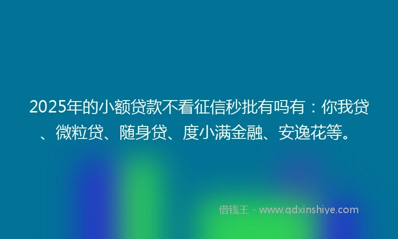 2025年的小额贷款不看征信秒批有吗有：你我贷、微粒贷、随身贷、度小满金融、安逸花等。