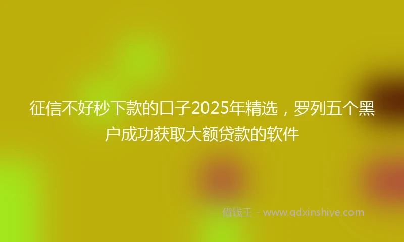 征信不好秒下款的口子2025年精选，罗列五个黑户成功获取大额贷款的软件
