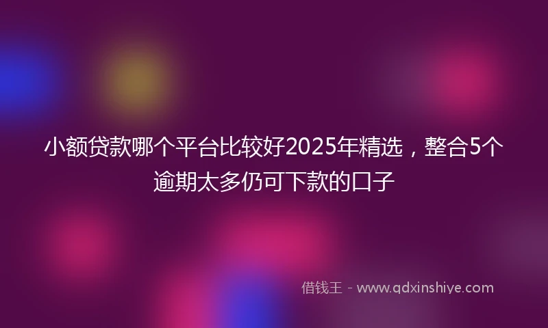 小额贷款哪个平台比较好2025年精选，整合5个逾期太多仍可下款的口子