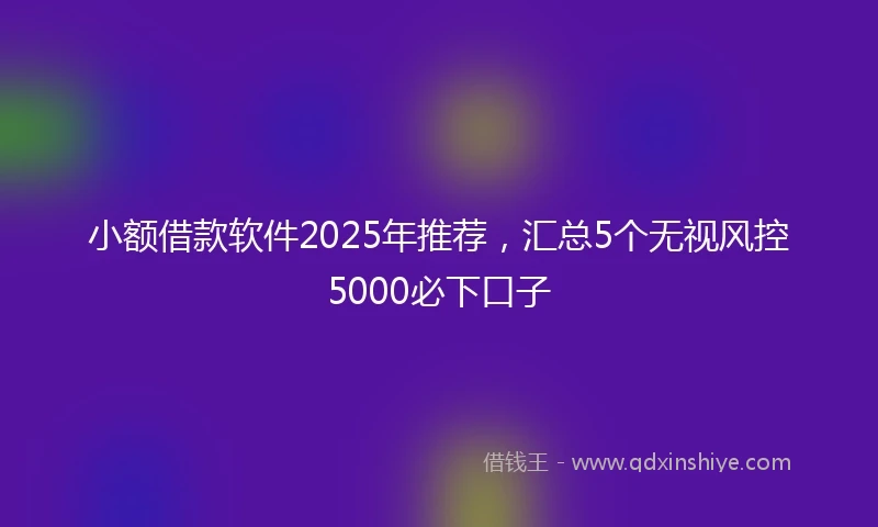 小额借款软件2025年推荐，汇总5个无视风控5000必下口子