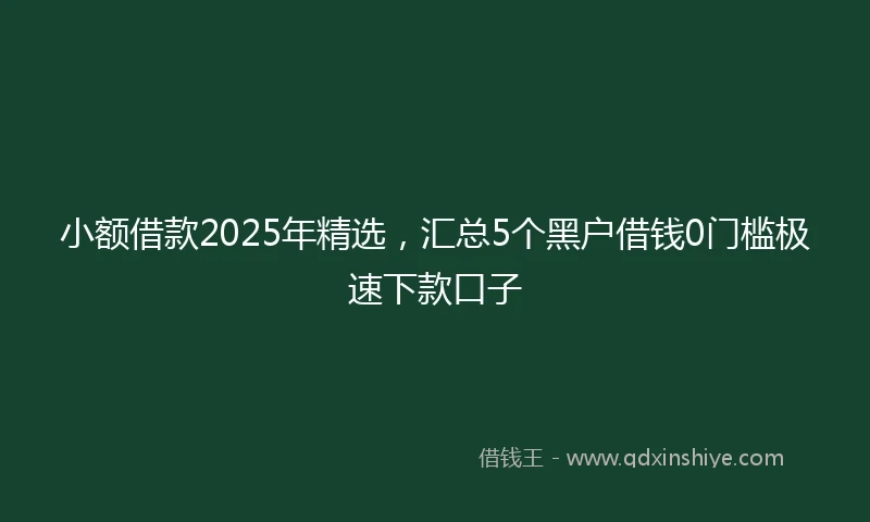 小额借款2025年精选，汇总5个黑户借钱0门槛极速下款口子