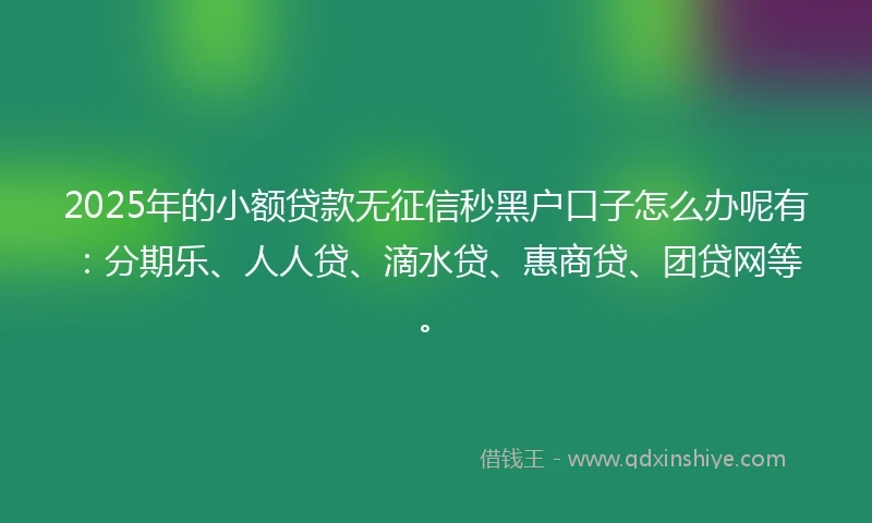 2025年的小额贷款无征信秒黑户口子怎么办呢有：分期乐、人人贷、滴水贷、惠商贷、团贷网等。