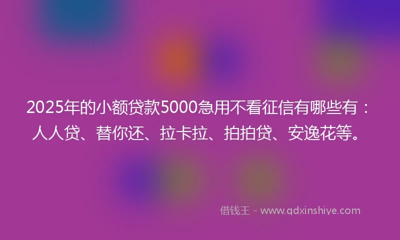 2025年的小额贷款5000急用不看征信有哪些有：人人贷、替你还、拉卡拉、拍拍贷、安逸花等。