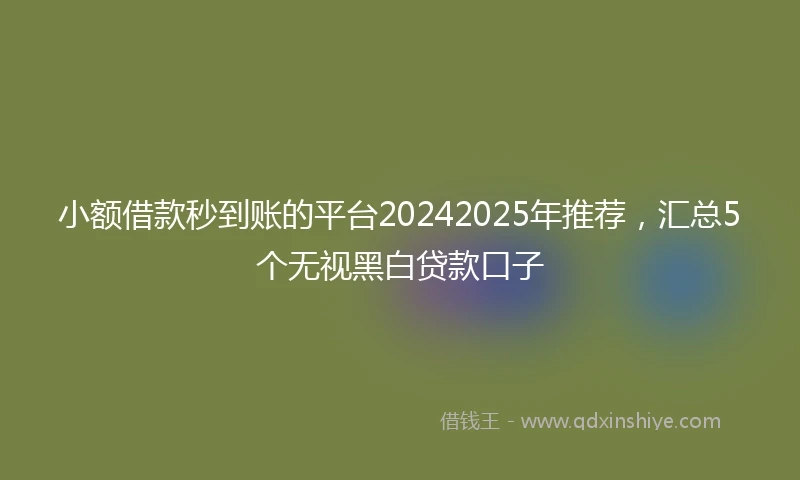 小额借款秒到账的平台20242025年推荐，汇总5个无视黑白贷款口子