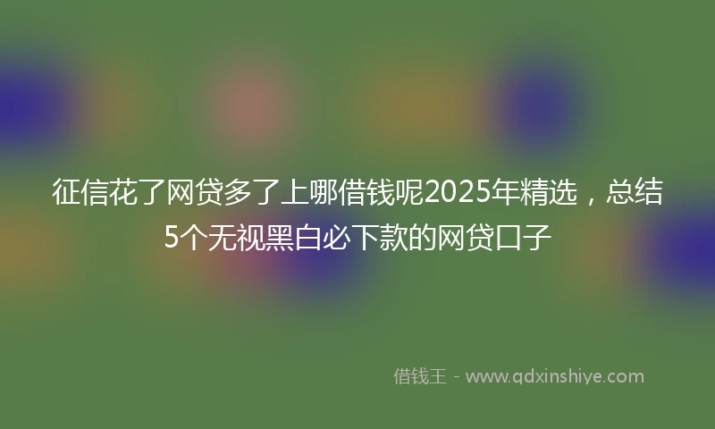 征信花了网贷多了上哪借钱呢2025年精选，总结5个无视黑白必下款的网贷口子