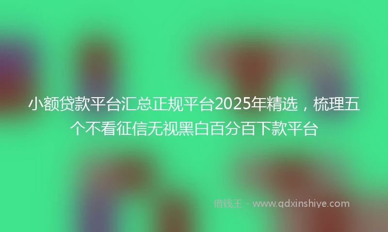 小额贷款平台汇总正规平台2025年精选，梳理五个不看征信无视黑白百分百下款平台