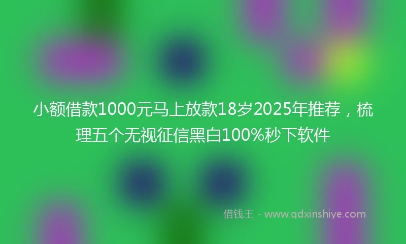 小额借款1000元马上放款18岁2025年推荐，梳理五个无视征信黑白100%秒下软件