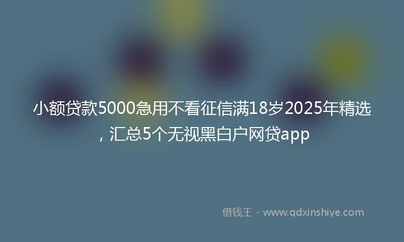 小额贷款5000急用不看征信满18岁2025年精选，汇总5个无视黑白户网贷app