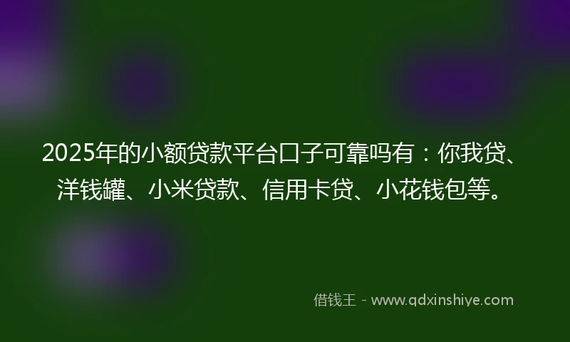 2025年的小额贷款平台口子可靠吗有：你我贷、洋钱罐、小米贷款、信用卡贷、小花钱包等。