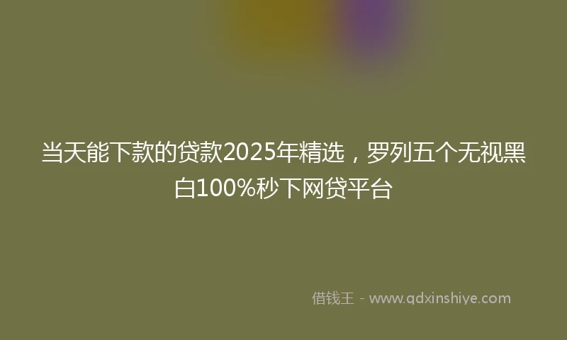 当天能下款的贷款2025年精选，罗列五个无视黑白100%秒下网贷平台