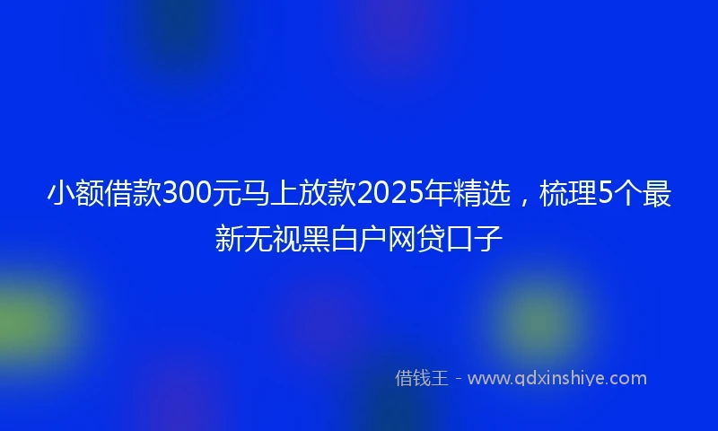 小额借款300元马上放款2025年精选，梳理5个最新无视黑白户网贷口子