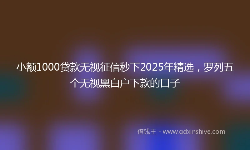 小额1000贷款无视征信秒下2025年精选，罗列五个无视黑白户下款的口子